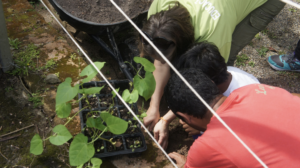 Screenshot 2024-12-06 at 20.13.00