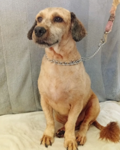 Screenshot 2025-02-12 16.55.42