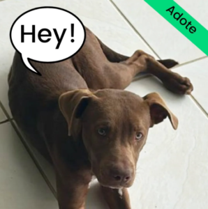 Screenshot 2025-02-12 16.56.28