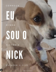 Screenshot 2025-02-19 at 18.32.47