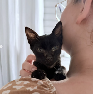 Screenshot 2025-02-19 at 18.33.39