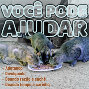 Screenshot 2025-02-19 at 18.33.53