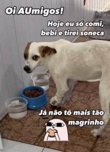 Screenshot 2025-02-19 at 18.34.41