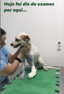 Screenshot 2025-02-19 at 18.35.27