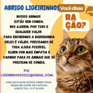 Abrigo Ligeirinhos 1