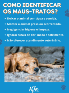 Ação Vet 2
