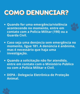 Ação Vet 3