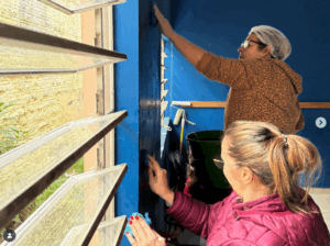 instituto vida solidaria 3