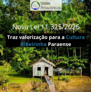 Instituto Vidas Amazônicas 4
