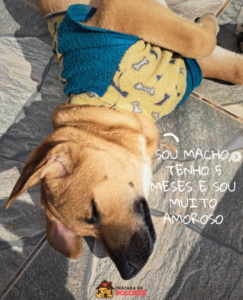 chácara da dolores 3