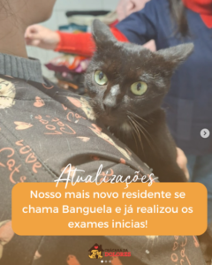 chácara da dolores 4